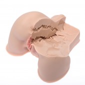 Мастурбатор-полуторс Naked Factory Kate - Naked Factory - в Новом Уренгое купить с доставкой