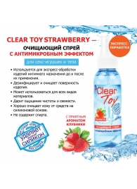 Очищающий спрей для игрушек CLEAR TOY Strawberry - 100 мл. - Биоритм - купить с доставкой в Новом Уренгое