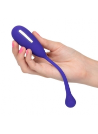 Фиолетовый шарик с электростимуляцией и вибрацией Intimate E-Stimulator Remote Kegel Exerciser - California Exotic Novelties - купить с доставкой в Новом Уренгое