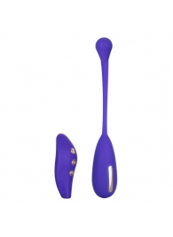 Фиолетовый шарик с электростимуляцией и вибрацией Intimate E-Stimulator Remote Kegel Exerciser - California Exotic Novelties - купить с доставкой в Новом Уренгое