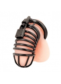 Черная металлическая клетка с замком Deluxe Chastity Cage - BlueLine - купить с доставкой в Новом Уренгое