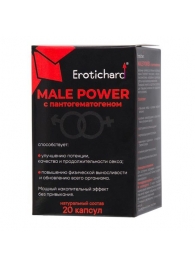 Капсулы для мужчин Erotichard male power с пантогематогеном - 20 капсул (0,370 гр.) - Erotic Hard - купить с доставкой в Новом Уренгое