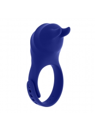 Синее эрекционное виброкольцо с клиторальной подушечкой и пультом ДУ Adjustable Fun Ring - Zero Tolerance - в Новом Уренгое купить с доставкой