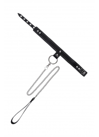 Черный узкий однослойный ошейник с серебристым поводком-цепочкой - Pecado - купить с доставкой в Новом Уренгое