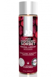 Лубрикант на водной основе с ароматом малины JO Flavored Raspberry Sorbet - 120 мл. - System JO - купить с доставкой в Новом Уренгое