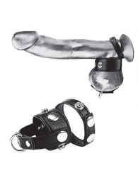 Утяжка для мошонки и пениса Cock Ring With 1  Ball Stretcher And Optional Weight Ring - BlueLine - купить с доставкой в Новом Уренгое