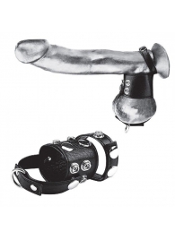 Утяжка на пенис и мошонку Cock Ring With 1.5  Ball Stretcher And Optional Weight Ring - BlueLine - купить с доставкой в Новом Уренгое