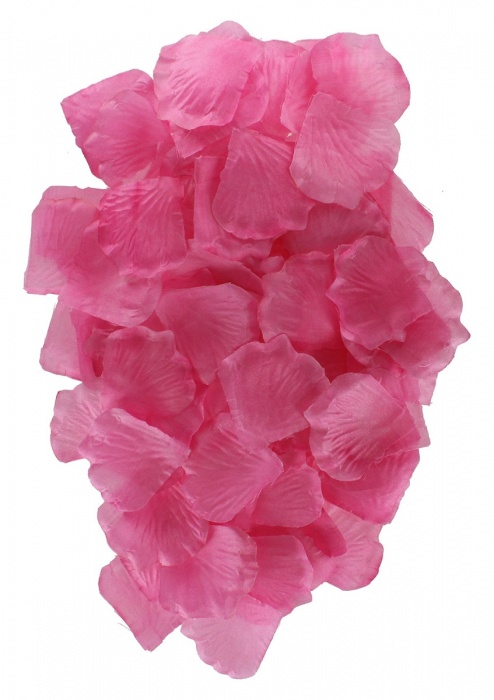 Эротический набор FANTASTIC PURPLE SEX TOY KIT - Toy Joy - купить с доставкой в Новом Уренгое