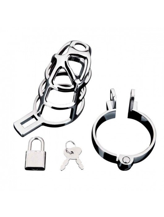 Серебристая металлическая клетка для члена с замком Enslave Cock Cage - BlueLine - купить с доставкой в Новом Уренгое