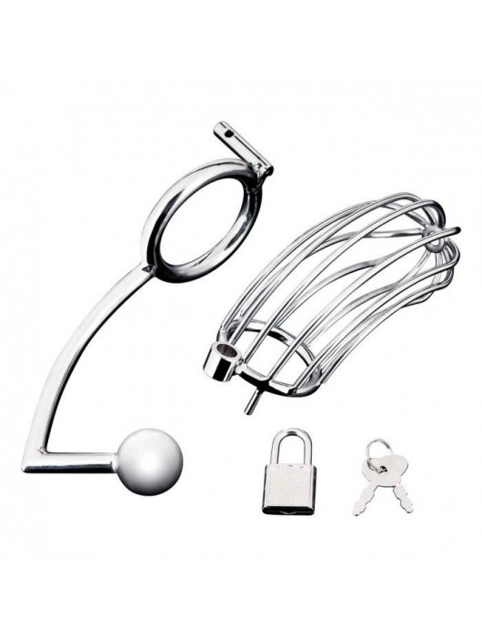 Серебристая металлическая клетка с анальным стимулятором Cock Cage - BlueLine - купить с доставкой в Новом Уренгое