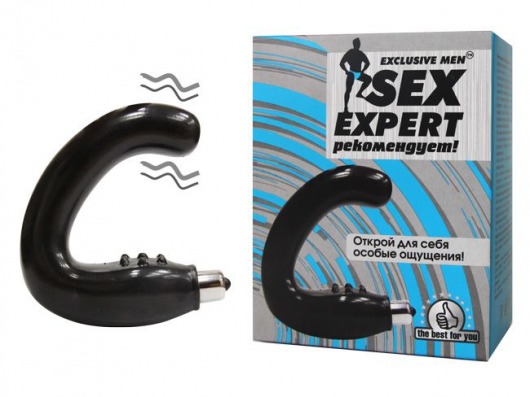 Чёрный массажёр простаты серии Sex Expert - Sex Expert - в Новом Уренгое купить с доставкой