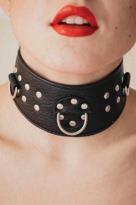 Кожаный ошейник для эротических игр - БДСМ Арсенал - купить с доставкой в Новом Уренгое