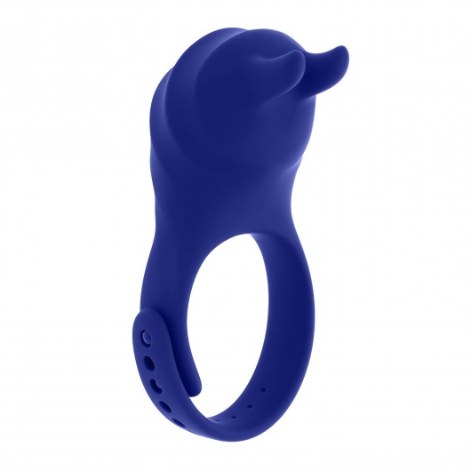 Синее эрекционное виброкольцо с клиторальной подушечкой и пультом ДУ Adjustable Fun Ring - Zero Tolerance - в Новом Уренгое купить с доставкой