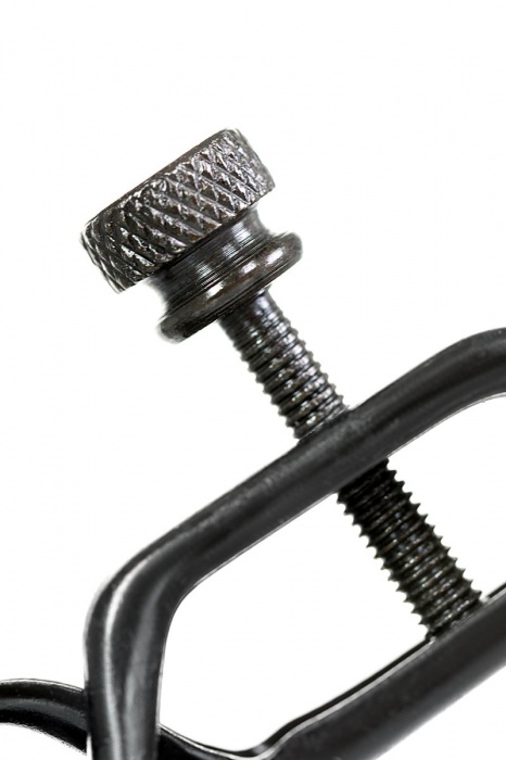 Черно-золотистые зажимы для сосков TOYFA Theatre - ToyFa - купить с доставкой в Новом Уренгое