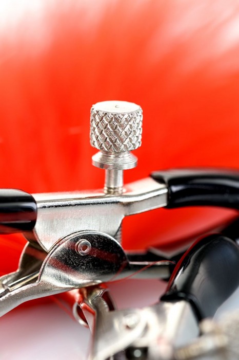 Зажимы для сосков с красным пухом Theatre - ToyFa - купить с доставкой в Новом Уренгое